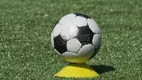 超凡国际娱乐 产品 012838 685