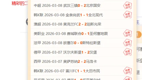 泰山队中超首战败中显豪情，坚韧精神熠熠生辉